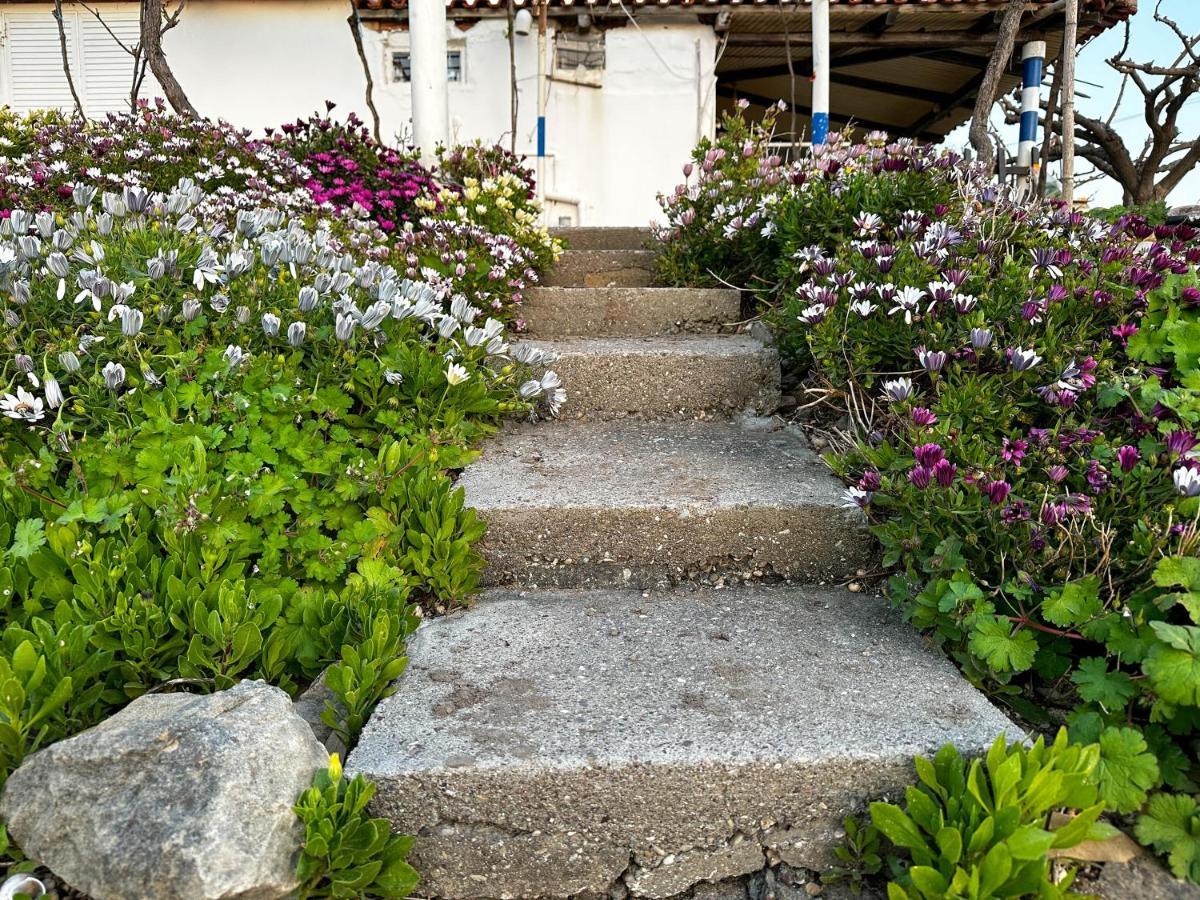 Country house The Sea At Your Feet Epitalio