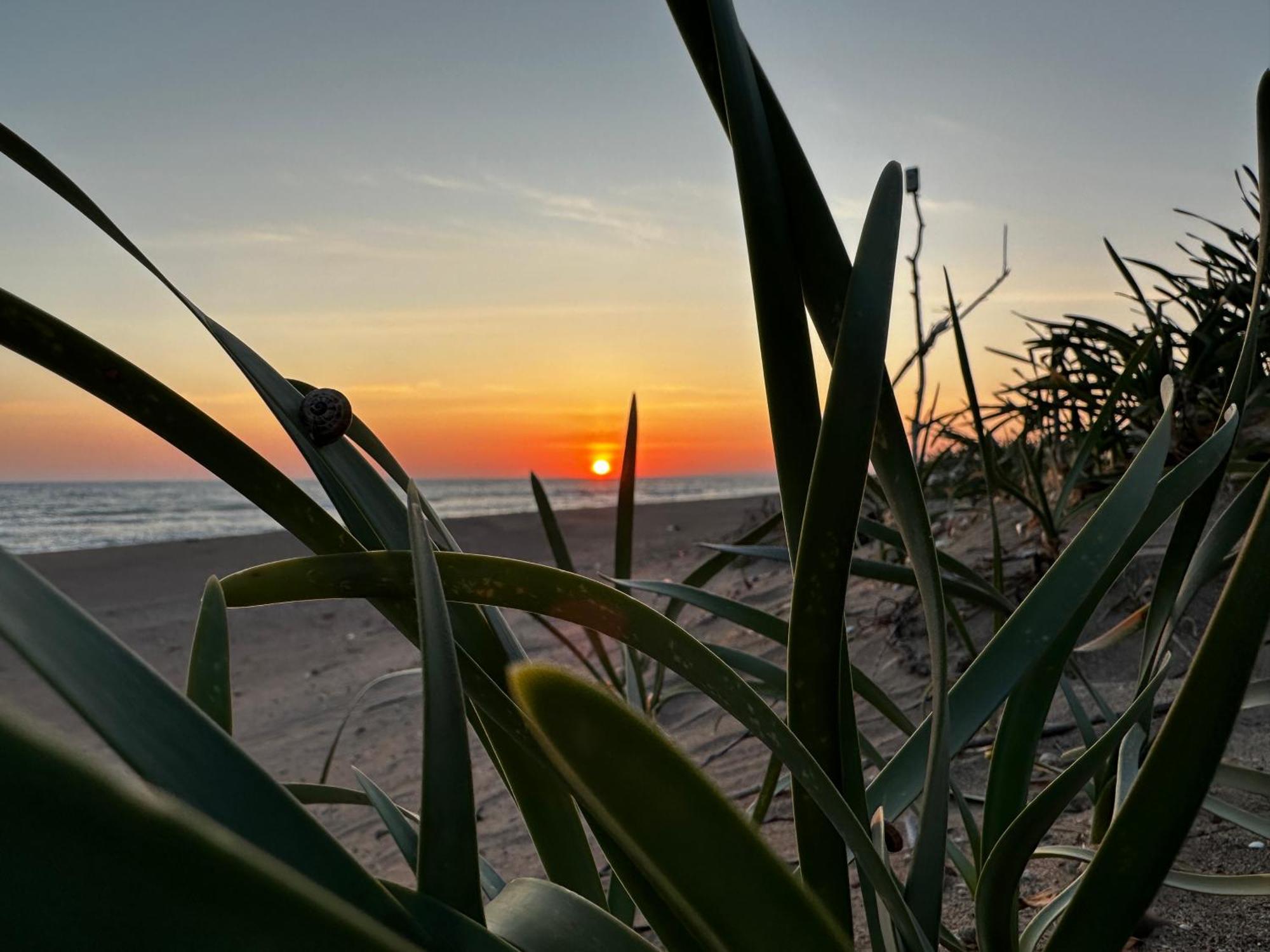 Casa di campagna The Sea At Your Feet Epitalio